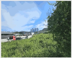  2025Ÿ��52062 ���� ����� ������ �밭�� 133-39      ����(��)���