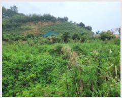  2025Ÿ��52062 ���� ����� ������ �밭�� 133-39      ����(��)���