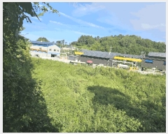  2025Ÿ��52062 ���� ����� ������ �밭�� 133-39      ����(��)���