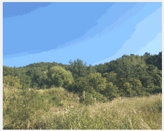  2025Ÿ��52074 ���� ���ﱺ ������ ȣ���� 1455      ����(��)���