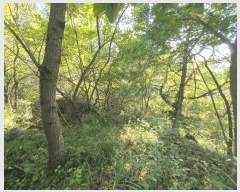  2025Ÿ��52074 ���� ���ﱺ ������ ȣ���� 1455      ����(��)���