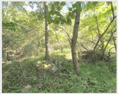  2025Ÿ��52074 ���� ���ﱺ ������ ȣ���� 1455      ����(��)���