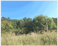  2025Ÿ��52074 ���� ���ﱺ ������ ȣ���� 1455      ����(��)���