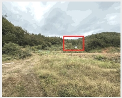  2025Ÿ��52086  �����