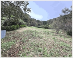  2025Ÿ��52086  �����