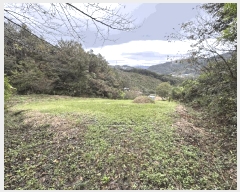  2025Ÿ��52086  �����