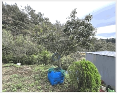  2025Ÿ��52086  �����