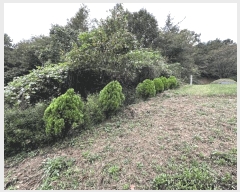  2025Ÿ��52086  �����