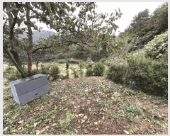  2025Ÿ��52086  �����