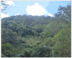  2025Ÿ��52098 ���� ����� ������ �ŷ渮 ��74-2      ����(�Ӿ�)���