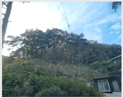  2025Ÿ��52098 ���� ����� ������ �ŷ渮 ��74-2      ����(�Ӿ�)���