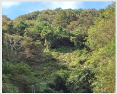  2025Ÿ��52098 ���� ����� ������ �ŷ渮 ��74-2      ����(�Ӿ�)���