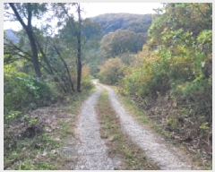  2025Ÿ��52098 ���� ����� ������ �ŷ渮 ��74-2      ����(�Ӿ�)���