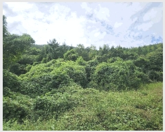  2025Ÿ��52104  �Ӿ߰��