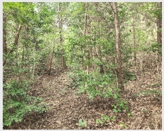  2025Ÿ��52104  �Ӿ߰��