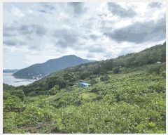  2025Ÿ��52104  �Ӿ߰��