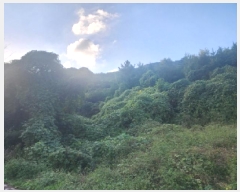  2025Ÿ��52104  �Ӿ߰��