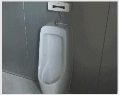  2025Ÿ��52152  â�����