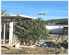  2025Ÿ��52152  â�����