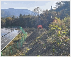  2025Ÿ��52182 ���� ��õ�� ������ ������ 895-35      ����(�Ӿ�)���