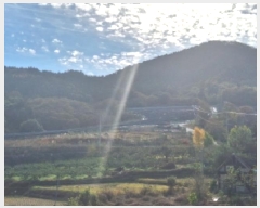  2025Ÿ��52182 ���� ��õ�� ������ ������ 895-35      ����(�Ӿ�)���