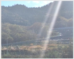  2025Ÿ��52182 ���� ��õ�� ������ ������ 895-35      ����(�Ӿ�)���