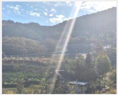  2025Ÿ��52182 ���� ��õ�� ������ ������ 895-35      ����(�Ӿ�)���