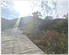  2025Ÿ��52182 ���� ��õ�� ������ ������ 895-35      ����(�Ӿ�)���