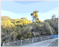  2025Ÿ��52206 ���� ���ﱺ ���θ� ������ ��226-1      ����(�Ӿ�)���