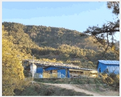  2025Ÿ��52206 ���� ���ﱺ ���θ� ������ ��226-1      ����(�Ӿ�)���