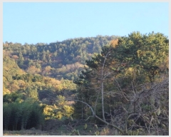  2025Ÿ��52206 ���� ���ﱺ ���θ� ������ ��226-1      ����(�Ӿ�)���