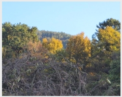  2025Ÿ��52206 ���� ���ﱺ ���θ� ������ ��226-1      ����(�Ӿ�)���