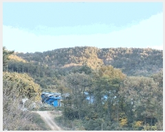  2025Ÿ��52206 ���� ���ﱺ ���θ� ������ ��226-1      ����(�Ӿ�)���