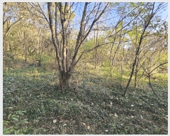  2025Ÿ��52232 ���� ����� Ȳ�浿 136-7       ����(��1)���