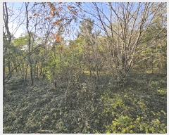  2025Ÿ��52232 ���� ����� Ȳ�浿 136-7       ����(��1)���