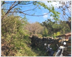  2025Ÿ��52232 ���� ����� Ȳ�浿 136-7       ����(��1)���