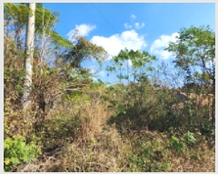  2025Ÿ��52232 ���� ����� Ȳ�浿 136-7       ����(��1)���