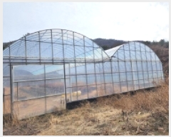  2025Ÿ300     1084      ()