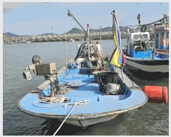  2025Ÿ��351 ���ﱺ �����         ���ڰ��