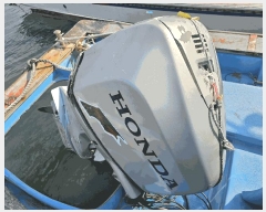  2025Ÿ��351 ���ﱺ �����         ���ڰ��