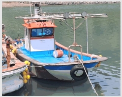  2025Ÿ��387  ���ڰ��