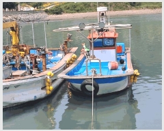  2025Ÿ��387  ���ڰ��