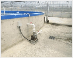  2025Ÿ��429 ���� ���ﱺ ������ ���߸� 3261-10      �������