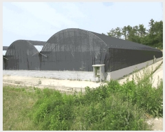  2025Ÿ��429 ���� ���ﱺ ������ ���߸� 3261-10      �������