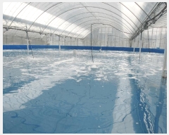  2025Ÿ��429 ���� ���ﱺ ������ ���߸� 3261-10      �������