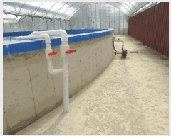  2025Ÿ��429 ���� ���ﱺ ������ ���߸� 3261-10      �������