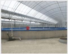  2025Ÿ��429 ���� ���ﱺ ������ ���߸� 3261-10      �������