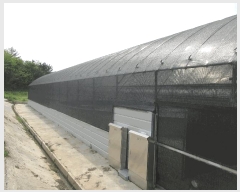  2025Ÿ��429 ���� ���ﱺ ������ ���߸� 3261-10      �������