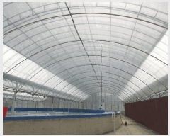  2025Ÿ��429 ���� ���ﱺ ������ ���߸� 3261-10      �������