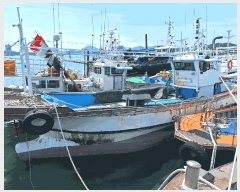  2025Ÿ477   ű        ڰ